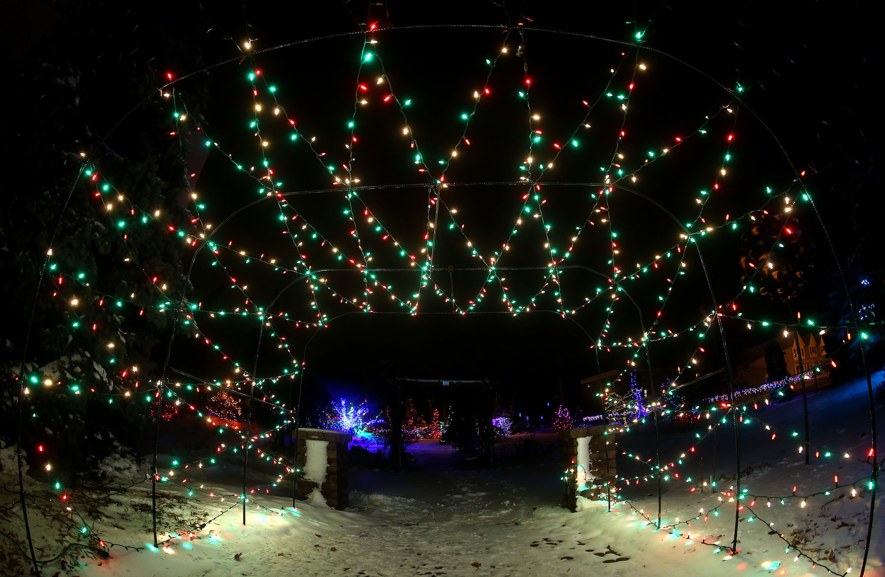 112718-botanical-lights-018
